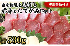 【熊本名物】自家牧場産 馬刺し赤身とたてがみセット 赤身480g たてがみ50g(専用醤油付き)