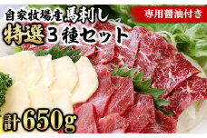 【熊本名物】自家牧場産 馬刺し特選3種セット 特選霜降り360g 赤身240g たてがみ50g(専用醤油付き)