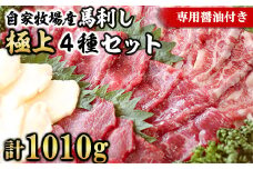 【熊本名物】自家牧場産 馬刺し極上4種セット 極上霜降り240g 上赤身240g 赤身480g たてがみ50g(専用醤油付き)