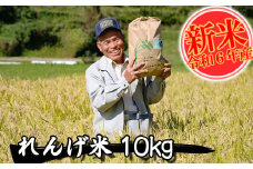 【令和6年産】れんげ米 白米 10㎏ 精米 熊本県 南関町産 単一原料米 ヒノヒカリ 産地直送 コメ お米 レンゲ農法