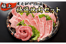 黒毛和牛 極上特選焼肉セット 計750g