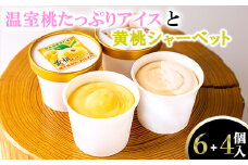 温室桃たっぷりのアイスと黄桃シャーベット10個