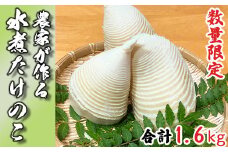 【先行受付】生産農家が作る！水煮たけのこ 1.6kg 産地直送 新鮮 無添加 若手農家 応援 小分け 惣菜 筍 タケノコ 和食
