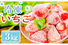 【数量限定】農家直送 南関町産 冷凍いちご(新品種すず) 3Kg