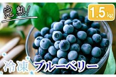 完熟 冷凍ブルーベリー　加工用途におすすめ1.5kg 南関町産