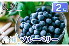 完熟 冷凍ブルーベリー　加工用途におすすめ2kg 南関町産