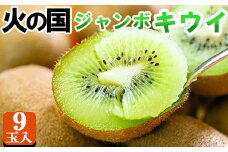 火の国ジャンボキウイ 9玉【大玉・完熟】 嬉しい大きさ