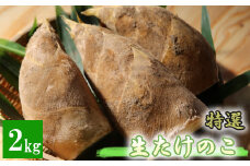 【先行受付】特選 生たけのこ 2kg予約 3月中旬発送