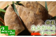【先行受付】特選 生たけのこ 食べ比べ 2kg×2回 予約 3月中旬と下旬の2回発送