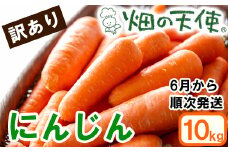 【予約受付】農薬・化学肥料不使用 《自然のまま》訳ありにんじん 10kg 2025年6月以降配送