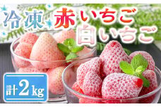 【数量限定】農家直送 南関町産 冷凍いちご赤と白 計2Kg
