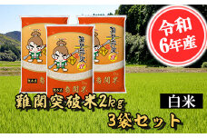 【令和6年産】難関突破米 白米 2kg×3 精米 熊本県 南関町産 単一原料米 ヒノヒカリ 産地直送 コメ お米 祈願米