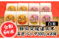 【令和6年産】難関突破達成米 白米 300g×8個 キューブ 精米 熊本県 南関町産 単一原料米 ヒノヒカリ 産地直送 コメ お米 祈願米