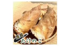 【先行受付】白宗たけのこ 2kg予約 4月上旬発送