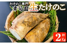 【期間限定】たけのこ専門 幸筍園の生たけのこ 2kg予約 数量限定