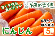 【予約受付】農薬・化学肥料不使用 《自然のまま》にんじん 5kg 2025年6月以降配送