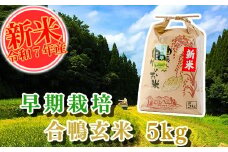 【令和7年産】早期栽培 合鴨玄米  5kg 南関町産 単一原料米 コシヒカリ 産地直送