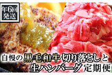 N02-13 【年6回発送】総合計14.4㎏！自慢の黒毛和牛切落しと手作り生ハンバーグ定期便