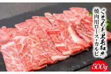 くまもと黒毛和牛 焼肉用ロース・カルビ 500g 《60日以内に出荷予定(土日祝除く)》 熊本県 長洲町 くまもと黒毛和牛 黒毛和牛 牛肉 肉 焼き肉 株式会社 羽根(出荷元：株式会社酒湊)