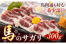 馬刺し 馬のサガリ 300g 長洲町L（桜屋）《30日以内に出荷予定(土日祝除く)》 熊本県 長洲町 馬刺し 馬肉 肉 サガリ 送料無料