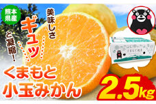訳あり みかん くまもと小玉みかん 約 2.5kg (2.5kg×1箱)  蜜柑 柑橘 《2025年10月中旬-12月末頃出荷》 ご家庭用 小玉 たっぷり 熊本県産 S-3Sサイズ 期間限定 フルーツ 5000 g 旬 柑橘 長洲町