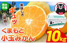 訳あり みかん くまもと小玉みかん 約 10kg (2.5kg×4箱)  蜜柑 柑橘 《2025年10月中旬-12月末頃出荷》 ご家庭用 小玉 たっぷり 熊本県産 S-3Sサイズ 期間限定 フルーツ 10000 g 旬 柑橘 長洲町