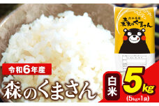 令和6年産 森のくまさん 5kg × 1袋  白米 熊本県産 単一原料米 森くま《7-14日以内に出荷予定(土日祝除く)》送料無料
