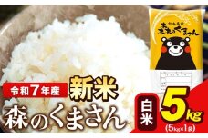 新米 令和7年産 森のくまさん 5kg × 1袋  白米 熊本県産 単一原料米 森くま《9月下旬-11月上旬頃出荷》送料無料