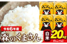 令和6年産 森のくまさん 5kg × 4袋  白米 熊本県産 単一原料米 森くま《7-14日以内に出荷予定(土日祝除く)》送料無料