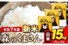 新米 令和7年産 森のくまさん 5kg × 3袋  白米 熊本県産 単一原料米 森くま《9月下旬-11月上旬頃出荷》送料無料