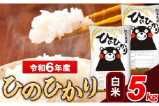 米 令和6年産 ひのひかり 白米 5kg 《7-14日以内に出荷予定(土日祝除く)》 5kg×1袋 熊本県産 米 精米 ひの 長洲町