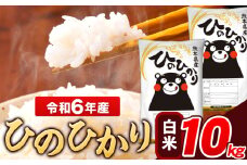 米 令和6年産 ひのひかり 白米 10kg 《7-14日以内に出荷予定(土日祝除く)》 5kg×1袋 熊本県産 米 精米 ひの 長洲町