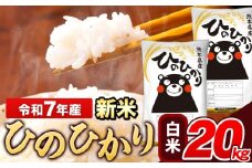 新米 米 令和7年産 ひのひかり 白米 20kg 《9月下旬-11月上旬頃出荷》 5kg×1袋 熊本県産 米 精米 ひの 長洲町
