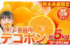 ご家庭用 デコポン デコポン約5kg前後(約12-24玉前後)《2026年2月上旬-4月末頃出荷》不知火 熊本県産 熊本県 長洲町 糖度13度以上