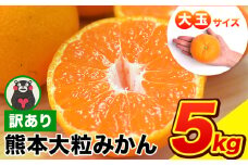 ご家庭用 熊本 大粒みかん 約5kg (3L～5Lサイズ)大玉 みかん 先行予約 熊本 ちょっと 訳あり 傷 たっぷり 熊本県産 熊本県 期間限定 フルーツ 旬 柑橘 長洲町 大粒みかん《2026年1月中旬-2月末頃出荷》