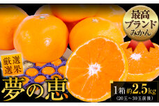 夢の恵 みかん 約2.5kg(20玉～30玉前後) 熊本県産 （長洲町産含む） 糖度12度以上 ブランドみかん ブランド 贈答用 贈り物《11月上旬-12月末頃出荷》 熊本県 長洲町