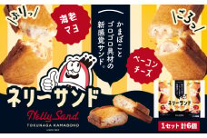 蒲鉾 小分け ネリーサンド エビマヨ チーズベーコン 数量限定 さつま揚げ 6個 徳永蒲鉾店《30日以内に出荷予定(土日祝除く)》蒲鉾 揚げ物 おつまみ 海鮮 お中元 ギフト お土産 チーズ 海老 国産 真空 魚 パン アウトドア BBQ かまぼこ