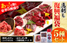 馬刺し復興福袋5種セット 馬肉 冷凍 株式会社千興ファーム《60日以内に出荷予定(土日祝除く)》 新鮮 赤身 ユッケ フタエゴ タタキ 桜うまトロ 馬刺しのタレ付き 送料無料 馬刺しユッケ 馬刺 冷凍 赤身 国産 熊本 真空パック 食べ比べ