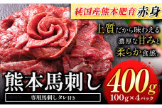 馬刺し 赤身 馬刺し 400g【純 国産 熊本 肥育】 たっぷり タレ付き 生食用 冷凍《30日以内に出荷予定(土日祝除く)》送料無料 国産 絶品 馬肉 肉 ギフト