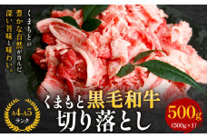  【A4～A5】くまもと黒毛和牛 切り落とし 500g 《30日以内に出荷予定(土日祝除く)》 牛肉 くまもと黒毛和牛 黒毛和牛 冷凍庫 切り落とし Esprit