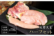 天草大王　ハーフセット 約750g 《60日以内に出荷予定(土日祝除く)》 【幻の地鶏】もも・むね・ささみ各1枚 熊本県産 長洲町