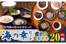 内野海産の海の幸セット 20個入り 《45日以内に出荷予定(土日祝除く)》あみ漬 いか 海苔 佃煮 塩辛 いかすみ