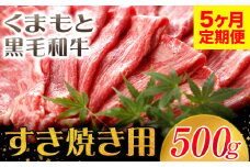 【5ヶ月定期便】牛肉 くまもと黒毛和牛 すき焼き用 500g 長洲町L（桜屋）《お申込み月の翌月から出荷開始》 定期 計5回お届け 熊本県 長洲町 送料無料 黒毛和牛 牛肉 肉 すき焼き