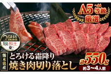くまもと黒毛和牛 和王 バラ 霜降り 焼肉切り落とし 550g A5 A4 等級《7-14日以内に出荷予定(土日祝除く)》熊本県 長洲町 黒毛和牛 牛肉 冷凍 個別 取分け 小分け チャック付き バラ凍結 肉 お肉 焼き肉 焼き肉用
