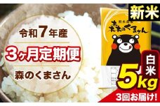 新米 令和7年産 森のくまさん 白米 5kg 5kg×1袋 計3回お届け 《お申し込み月の翌月から出荷開始》 お米 こめ 熊本県産 ご飯 備蓄