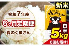 新米 令和7年産 森のくまさん 白米 5kg 5kg×1袋 計6回お届け 《お申し込み月の翌月から出荷開始》 お米 こめ 熊本県産 ご飯 備蓄