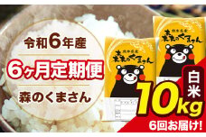 令和6年産 森のくまさん 白米 10kg 5kg×2袋 計6回お届け 《お申し込み月の翌月から出荷開始》 お米 こめ 熊本県産 ご飯 備蓄