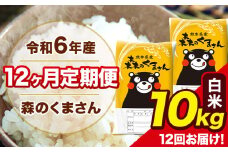 令和6年産 森のくまさん 白米 10kg 5kg×2袋 計12回お届け 《お申し込み月の翌月から出荷開始》 お米 こめ 熊本県産 ご飯 備蓄
