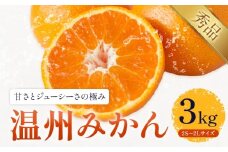 温州みかん 約3kg 日本フルーツ株式会社 熊本県 長洲町 《11月上旬～12月上頃に出荷予定（土日祝除く）》 デコポン 果物 秀品 フルーツ スイーツ デザート ギフト ご贈答