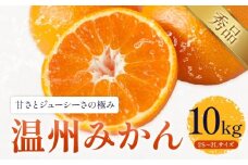 温州みかん 約10kg 日本フルーツ株式会社 熊本県 長洲町 《11月上旬～12月上頃に出荷予定（土日祝除く）》 デコポン 果物 秀品 フルーツ スイーツ デザート ギフト ご贈答